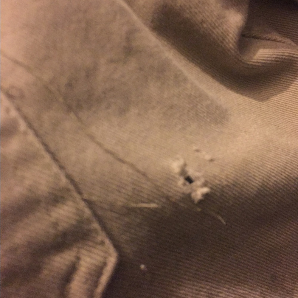 Rascal fr - Picture 2 of 4